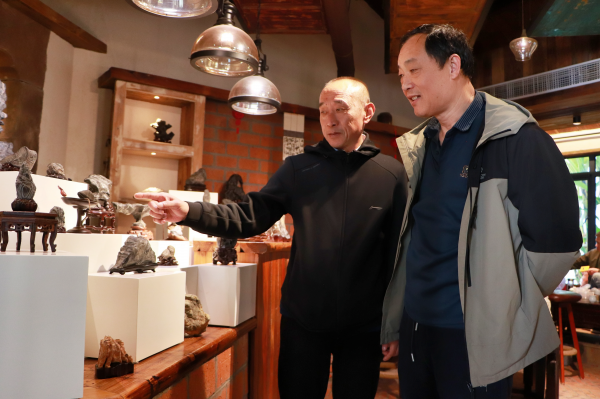 “民宿+赏石”跨界融合 肥东探索文旅“长红”新路径