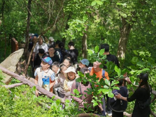 90.7万人次，2.23亿元！安徽肥东“五一”文旅火爆出圈
